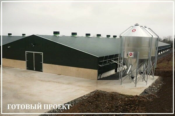 Этапы возведения птицефабрики от завода ВелесТент-кмш